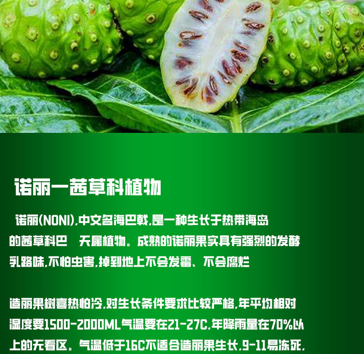 诺丽果价格表，时代印记的展现