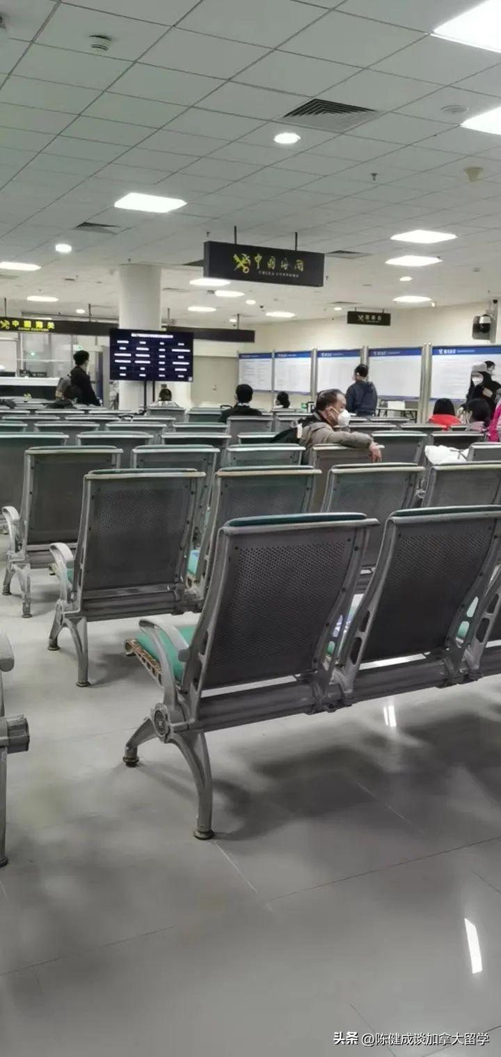 回国最新政策引领全新篇章，自信助力梦想之旅归国启航