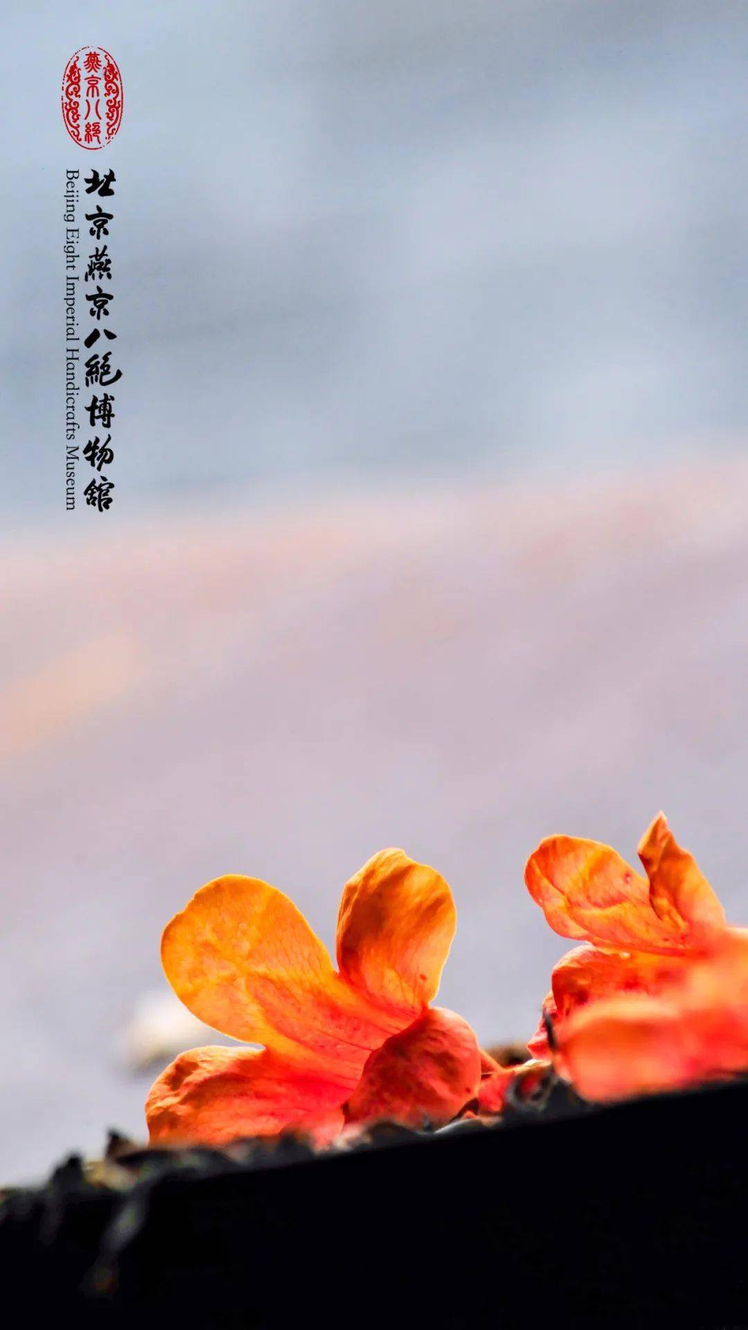 慕川晚风新篇，日常小确幸与友情温暖的美好时光