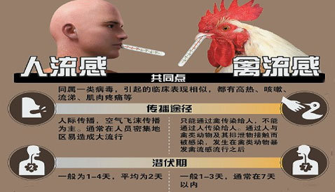 第418页