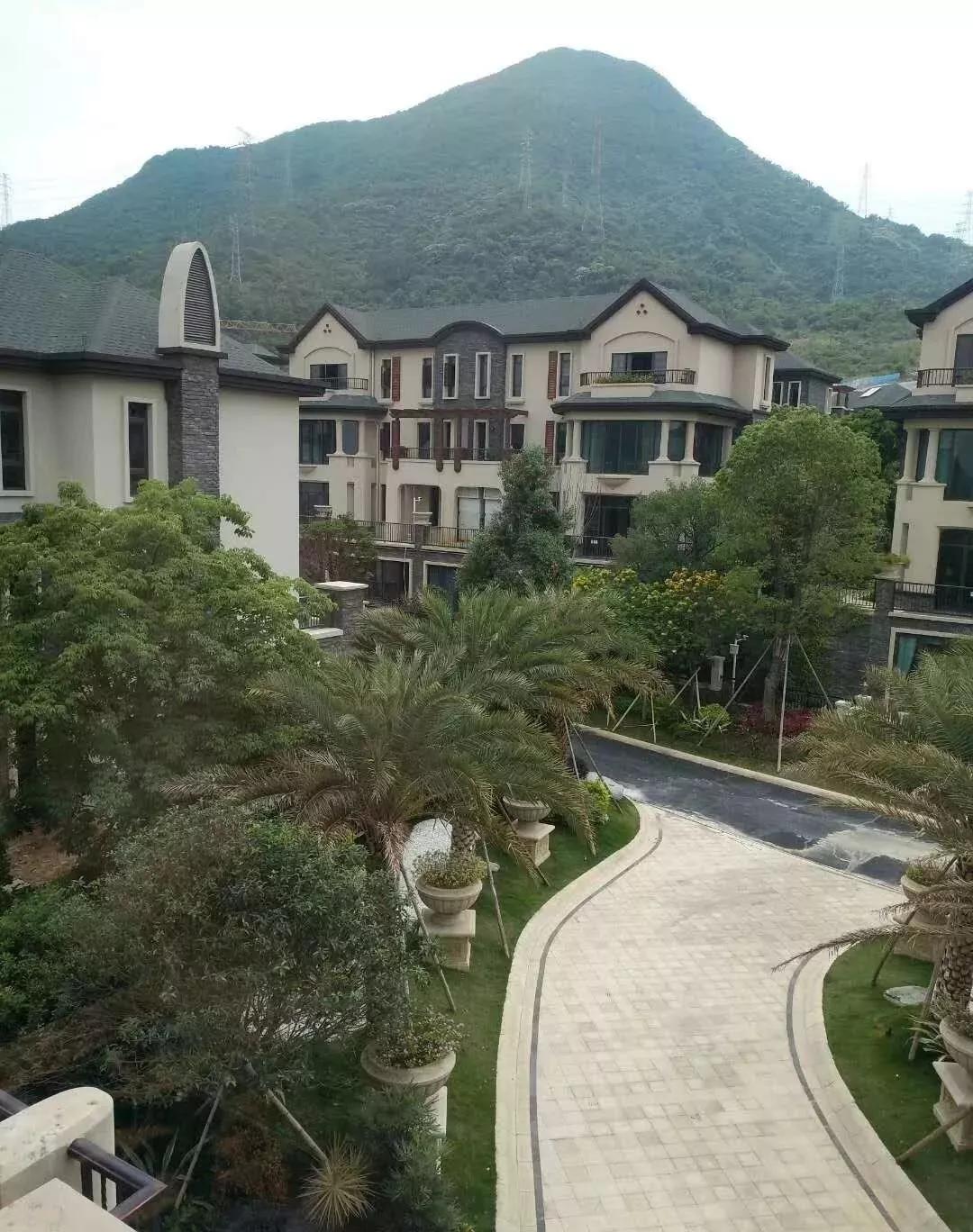 Xiao7最新地址揭秘，自然美景之旅，探寻内心平和的治愈之旅