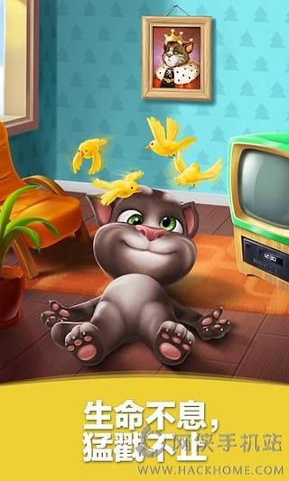 免费下载最新版汤姆猫，小巷深处的神秘乐园探秘