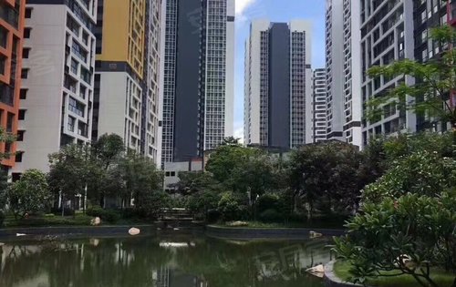 深圳入户最新动态及巷弄深处的独特风情